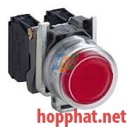 PUSHBUTTON - XB4BP42